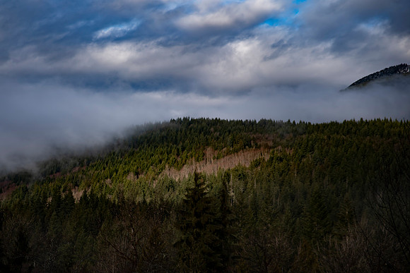 DSC_0036