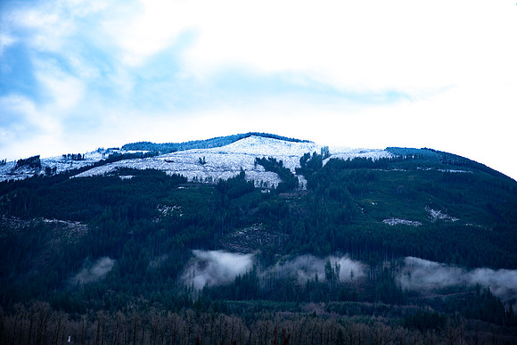 DSC_0017