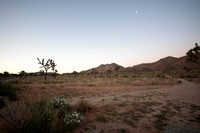 Joshua Tree_042419_030