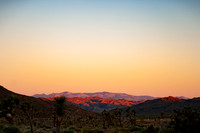 Joshua Tree_042419_046