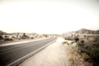 Joshua Tree_042419_028