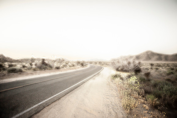 Joshua Tree_042419_028