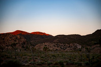 Joshua Tree_042419_041