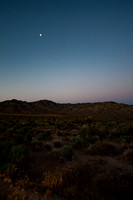 Joshua Tree_042419_025