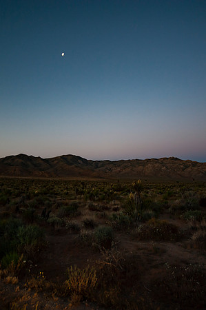 Joshua Tree_042419_025