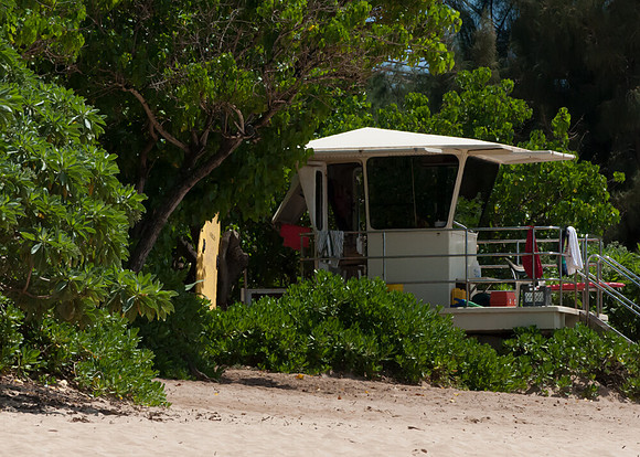 Hawaii_2012 (78)