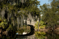 Mardi Gras0515020208