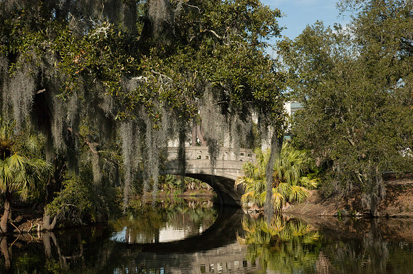 Mardi Gras0515020208