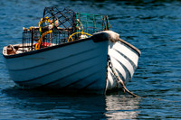 D90_070511_0538