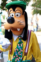 Disneyland 2017