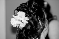 Weddings